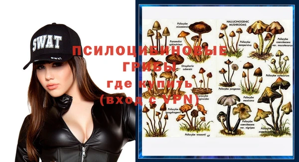 Альфа ПВП Балахна