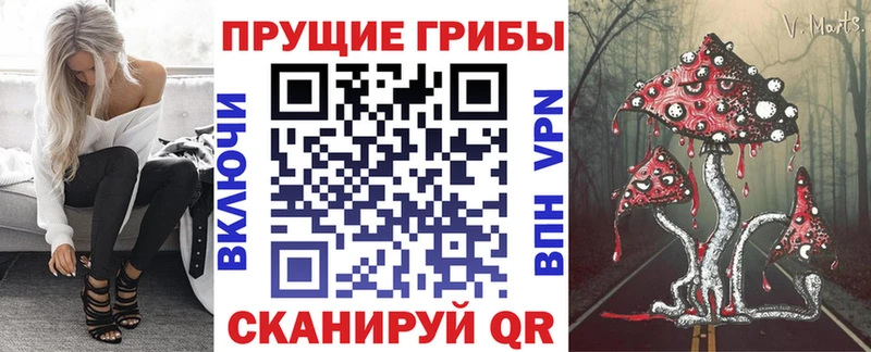 Купить закладки  Жирновск  Галлюциногенные грибы GOLDEN TEACHER 