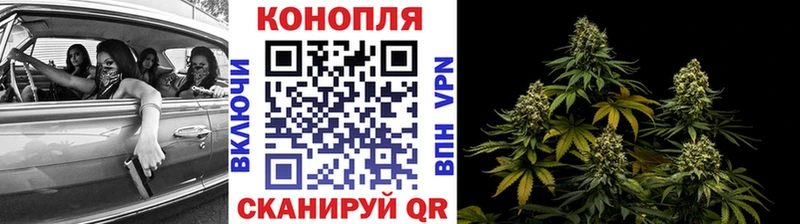 Купить закладки  Жирновск  Марихуана ГИДРОПОН 